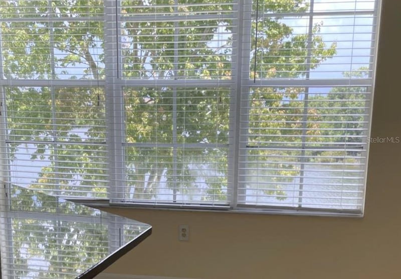 2401 Lexington Oak Dr, Brandon, FL 33511