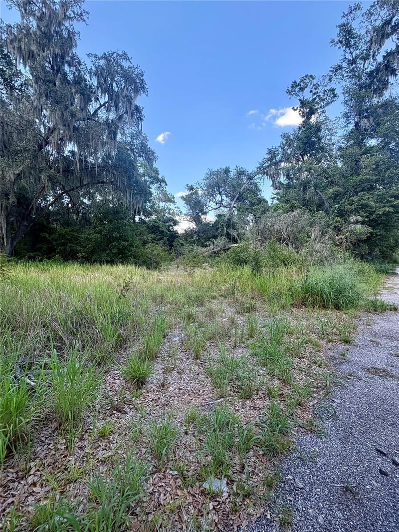Sydney Washer Rd, Dover, FL 33527