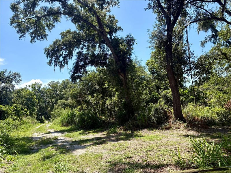 Sydney Washer Rd, Dover, FL 33527