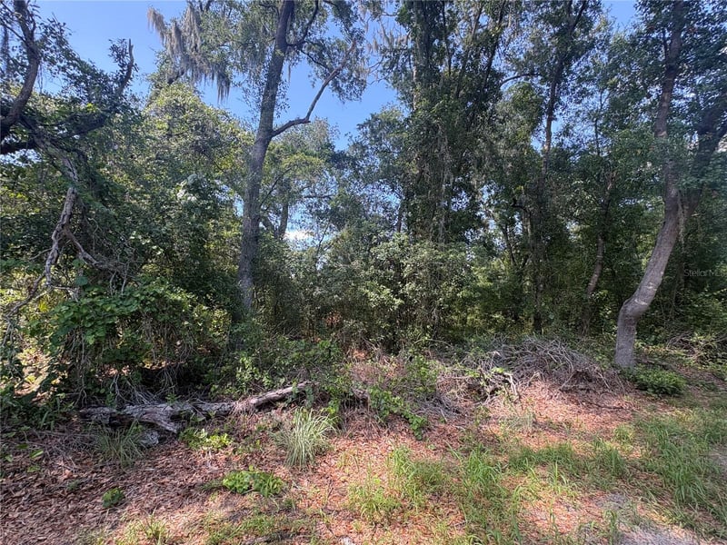 Sydney Washer Rd, Dover, FL 33527