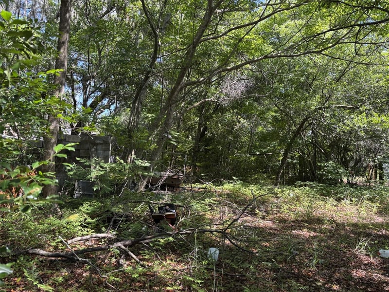 12506 Walton Ave, New Port Richey, FL 34654