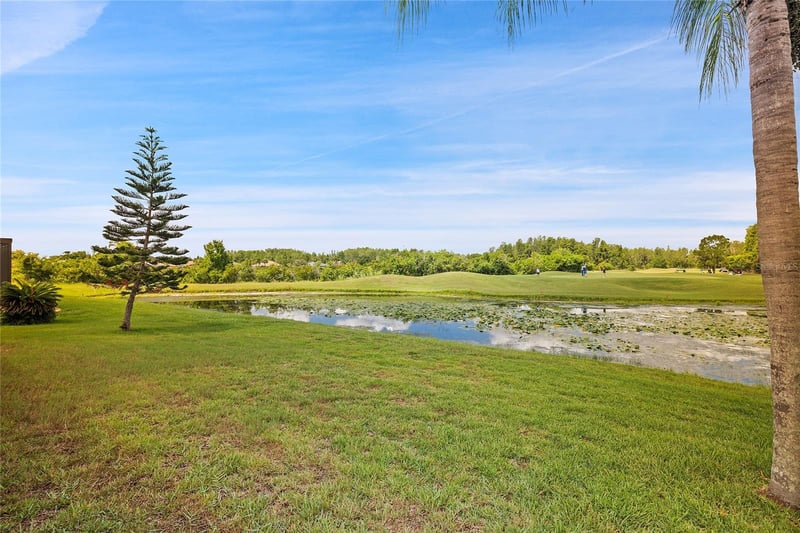 7154 Melogold Cir, Land O Lakes, FL 34637