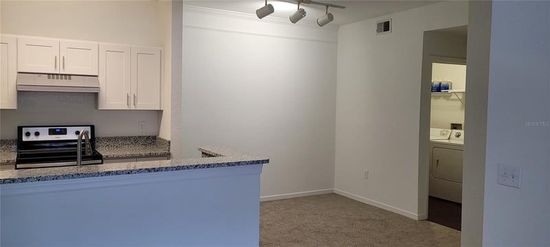 17104 Carrington Park Dr #513, Tampa, FL 33647