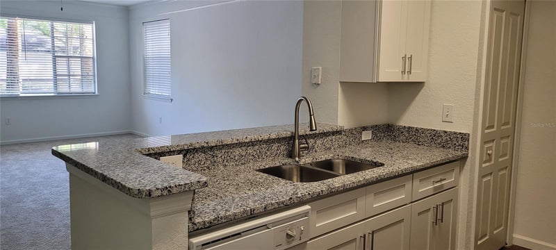 17104 Carrington Park Dr #513, Tampa, FL 33647