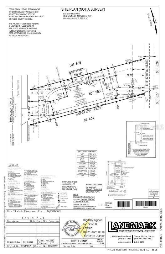 3864 Immacolata Way, Wesley Chapel, FL 33543