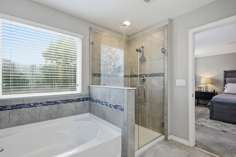 18793 Deer Tracks Loop, Lutz, FL 33558