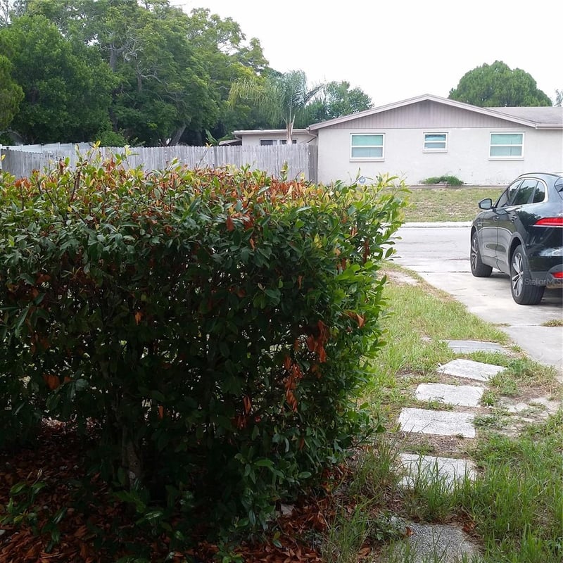 7725 Rottingham Rd, Port Richey, FL 34668