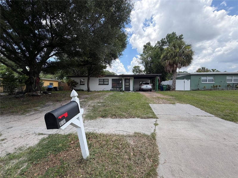 10111 Ola Ave, Tampa, FL 33612