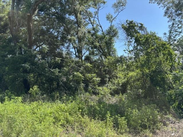 7157 Glory Rd, Zephyrhills, FL 33540