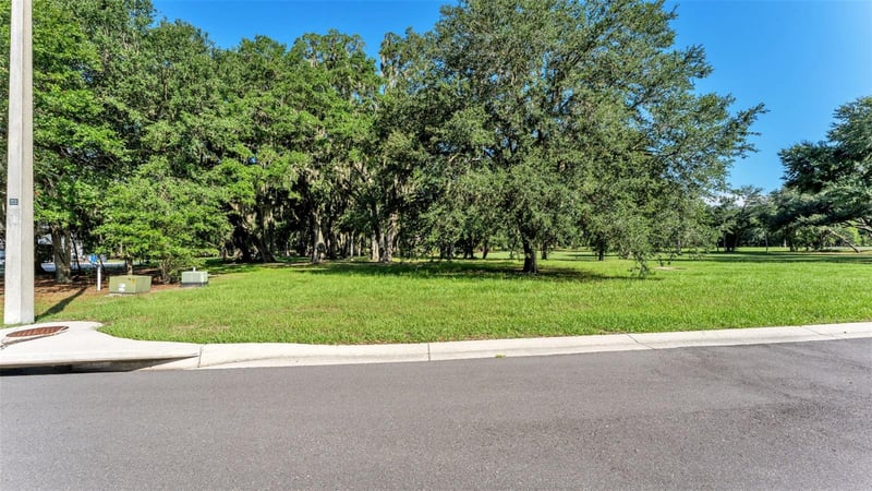 6923 Orianna Oaks Dr, Plant City, FL 33567