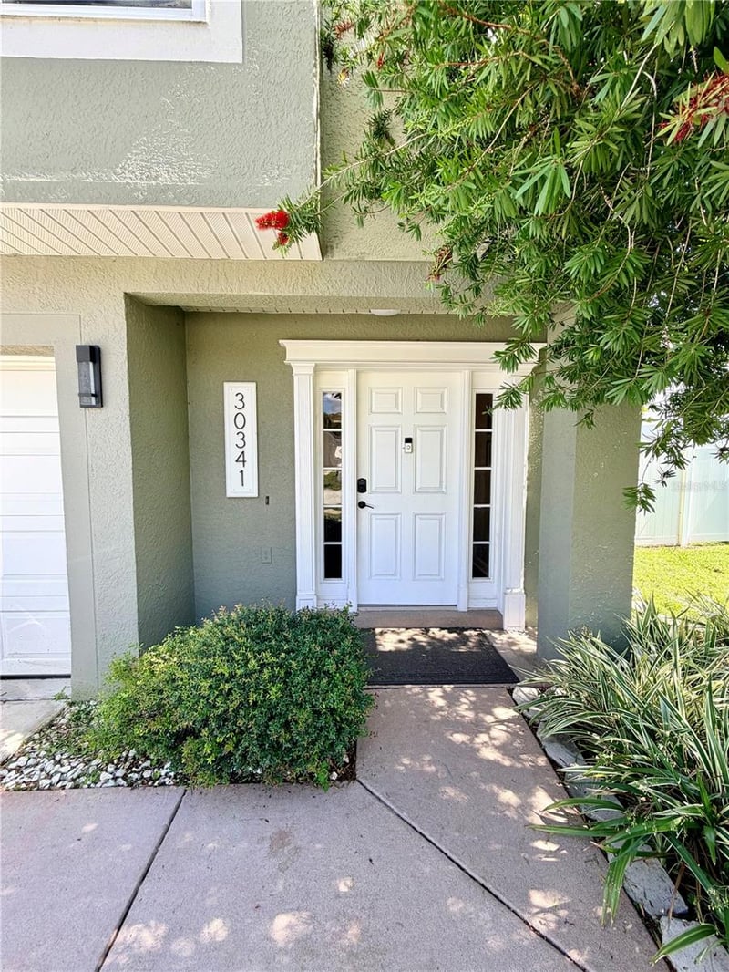 30341 Pongo Way, Wesley Chapel, FL 33545