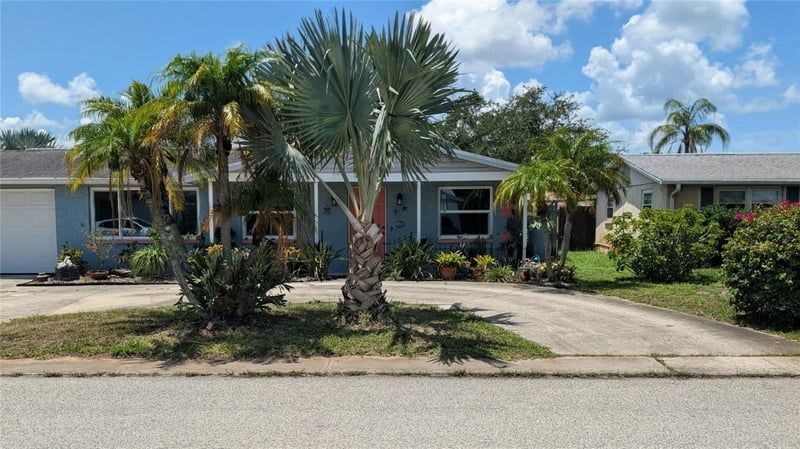 3452 Chauncy Rd, Holiday, FL 34691