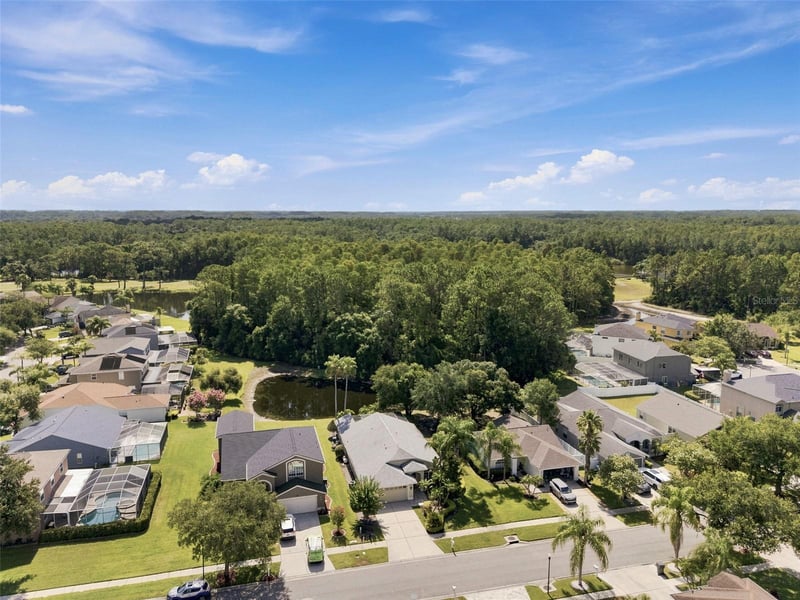13108 Royal George Ave, Odessa, FL 33556