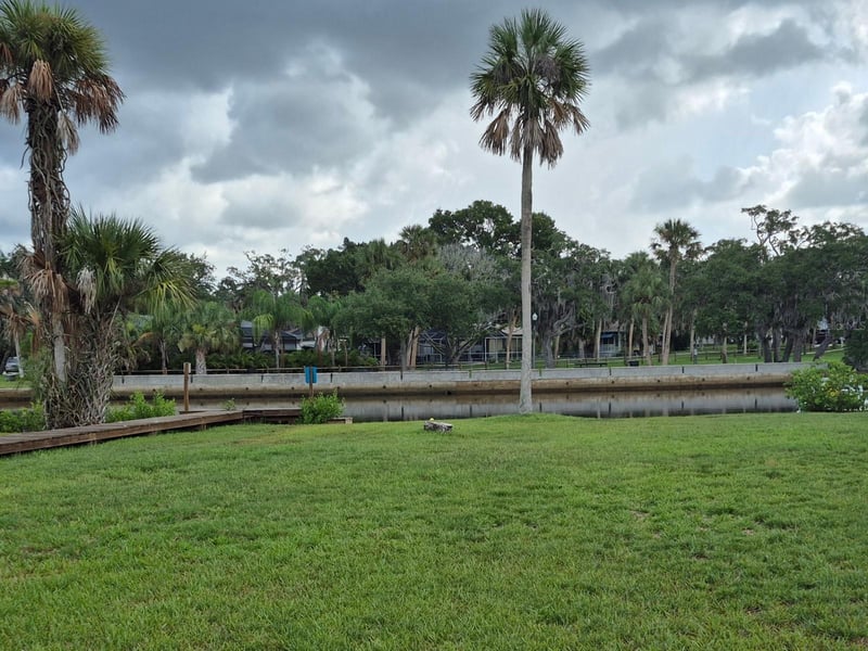 6416 River Rd, New Port Richey, FL 34652