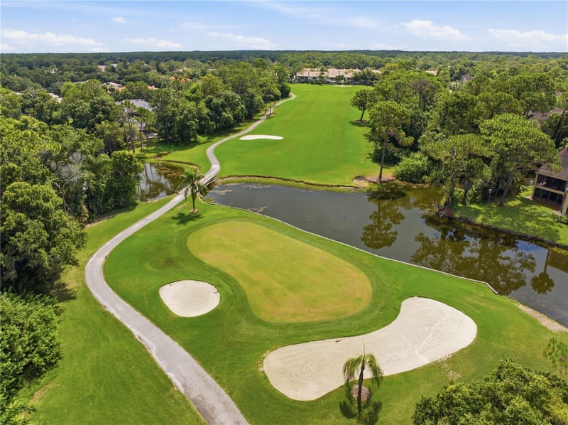 1332 Preservation Way, Oldsmar, FL 34677