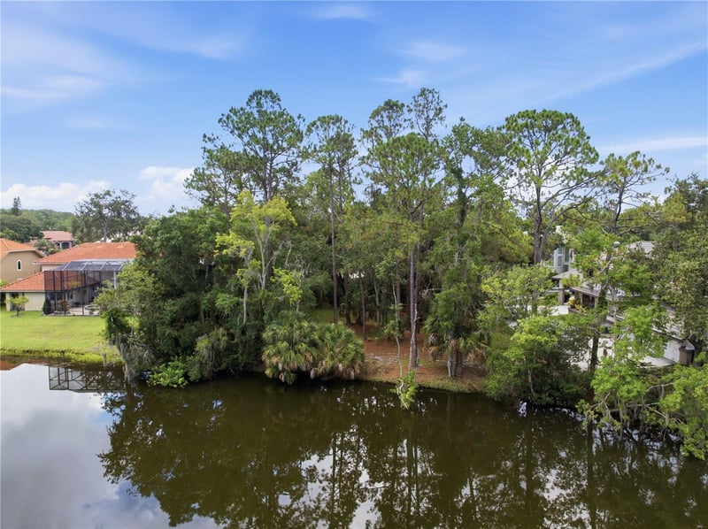 1332 Preservation Way, Oldsmar, FL 34677