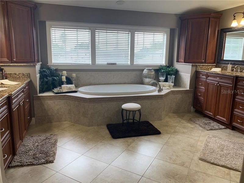 1630 Tawnyberry Ct, Trinity, FL 34655