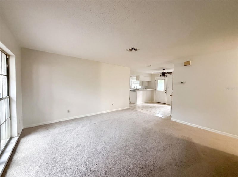4209 Alene Dr, Tampa, FL 33617