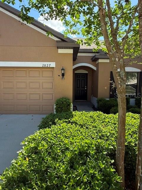 2827 Shetland Ridge Dr, Valrico, FL 33596