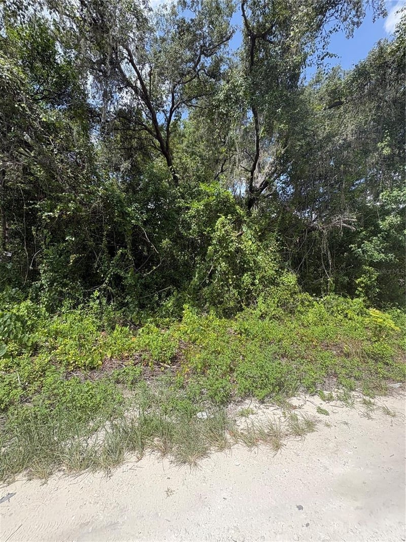Spare Dr, New Port Richey, FL 34654
