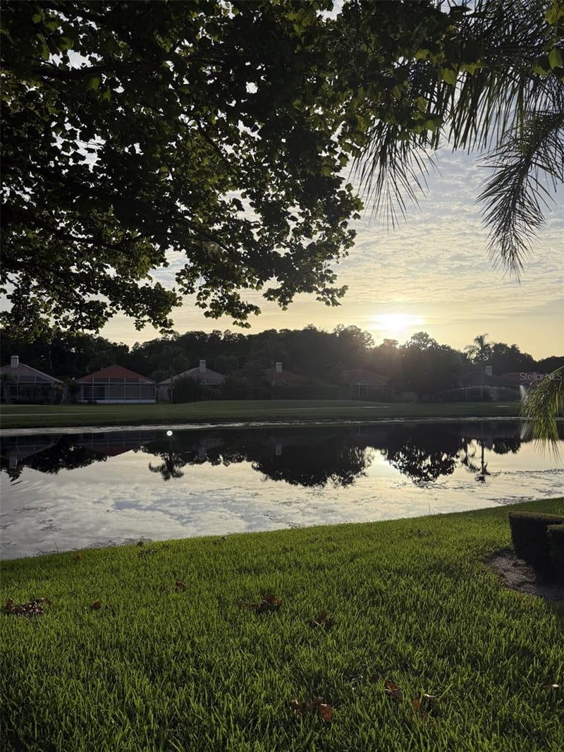 1338 Dartford Dr, Tarpon Springs, FL 34688