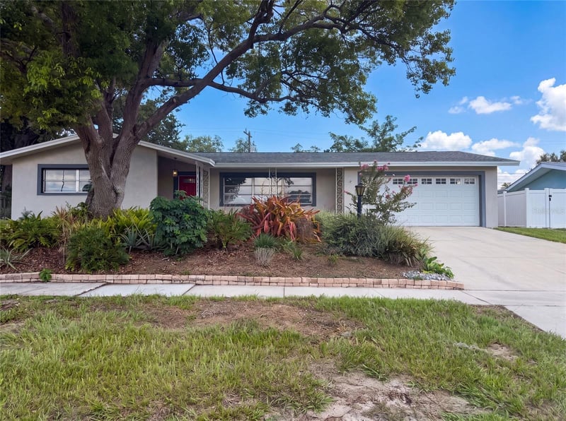 1666 Palace Dr, Clearwater, FL 33756