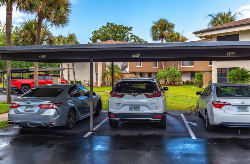 2700 Nebraska Ave #2-205, Palm Harbor, FL 34684