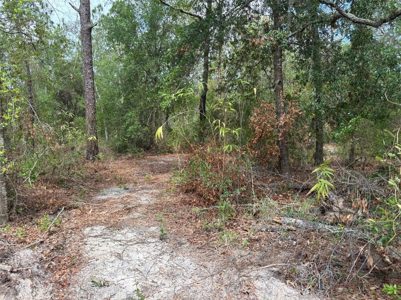 18379 Thomas Blvd, Hudson, FL 34667