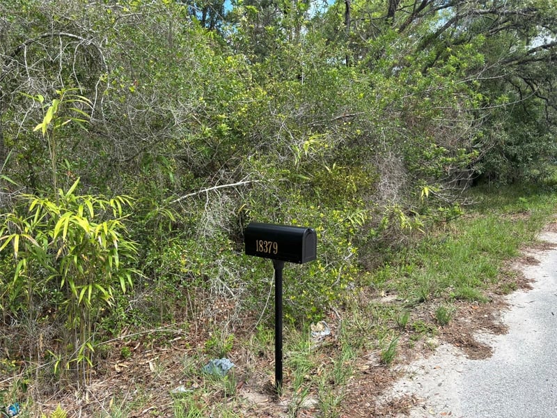 18379 Thomas Blvd, Hudson, FL 34667