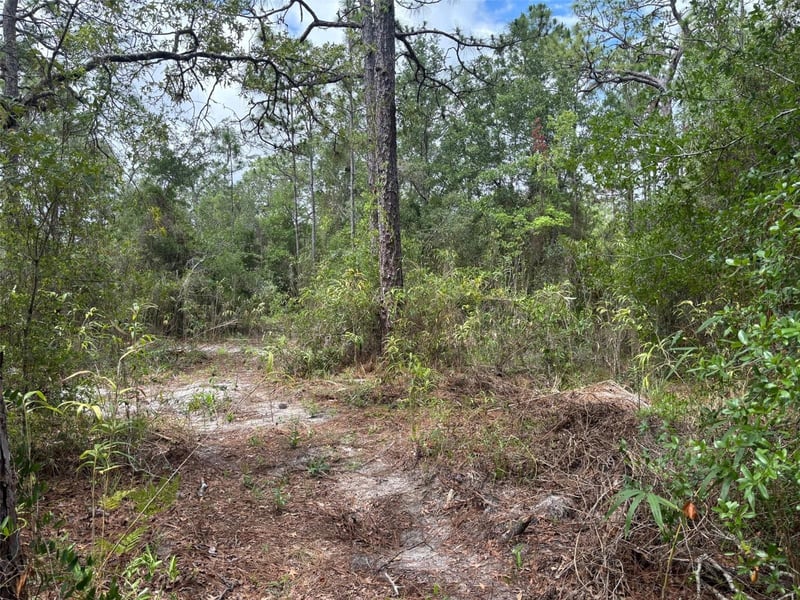 18379 Thomas Blvd, Hudson, FL 34667
