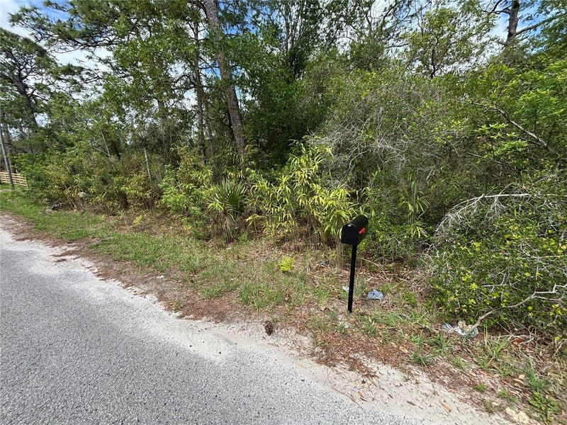18379 Thomas Blvd, Hudson, FL 34667