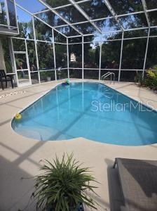 1822 Pipers Meadow Dr, Palm Harbor, FL 34683