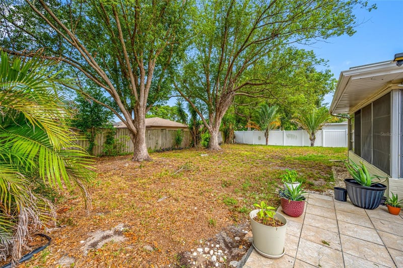 3259 Parkway Pl, Palm Harbor, FL 34684