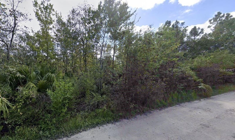 Powell St, New Port Richey, FL 34654