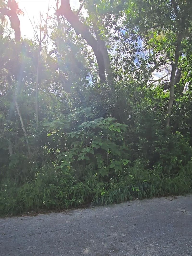 Lenox Dr, New Port Richey, FL 34653