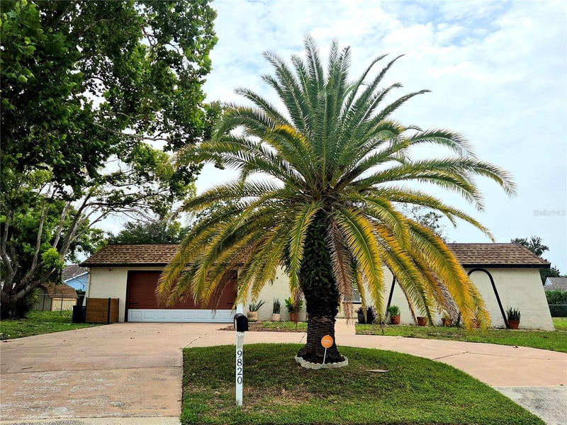 9820 Pocono St, Port Richey, FL 34668