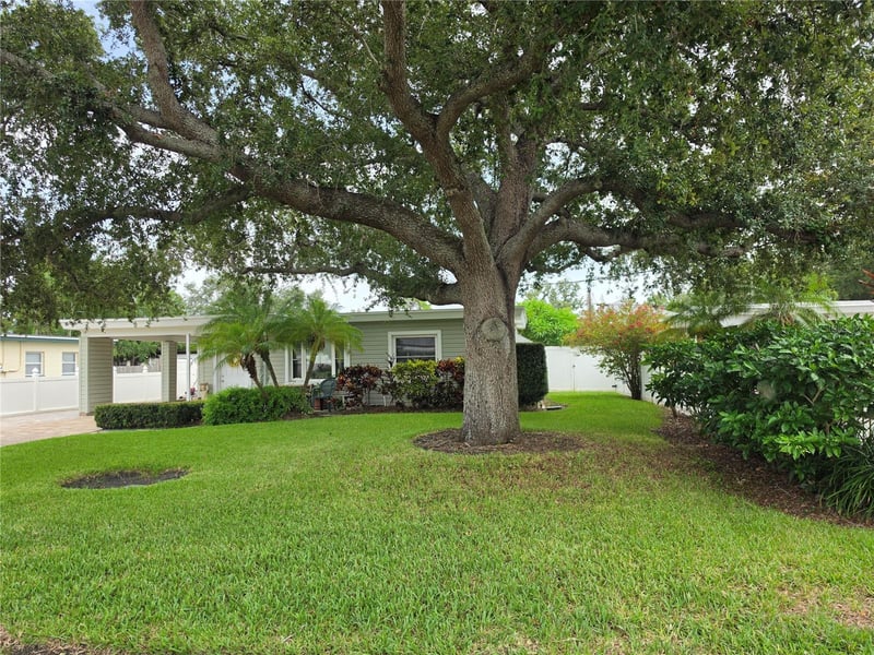 3510 Paul Ave, Tampa, FL 33611