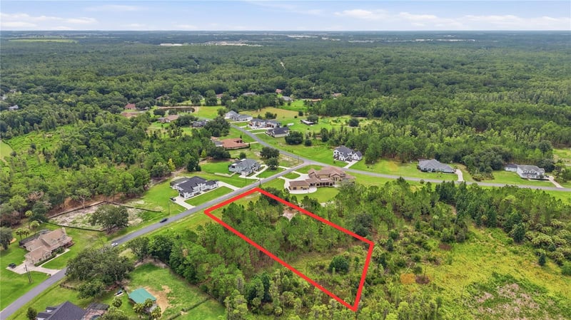 8616 Spring Forest Ln, Wesley Chapel, FL 33544