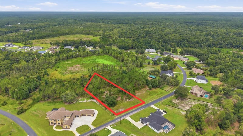 8616 Spring Forest Ln, Wesley Chapel, FL 33544