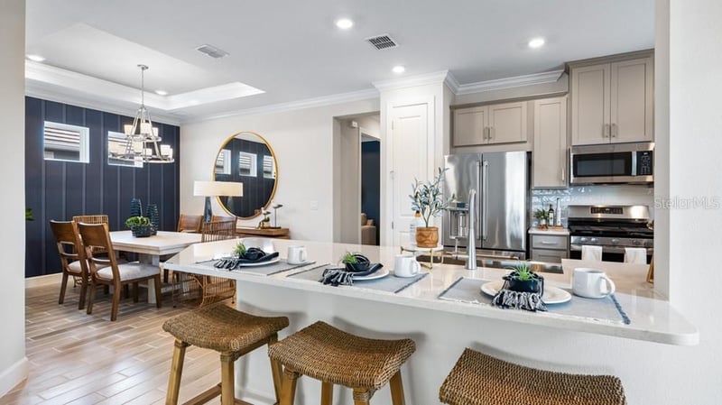 3867 Fraccareta Way, Wesley Chapel, FL 33543