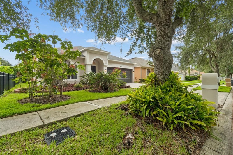 19029 Chemille Dr, Lutz, FL 33558