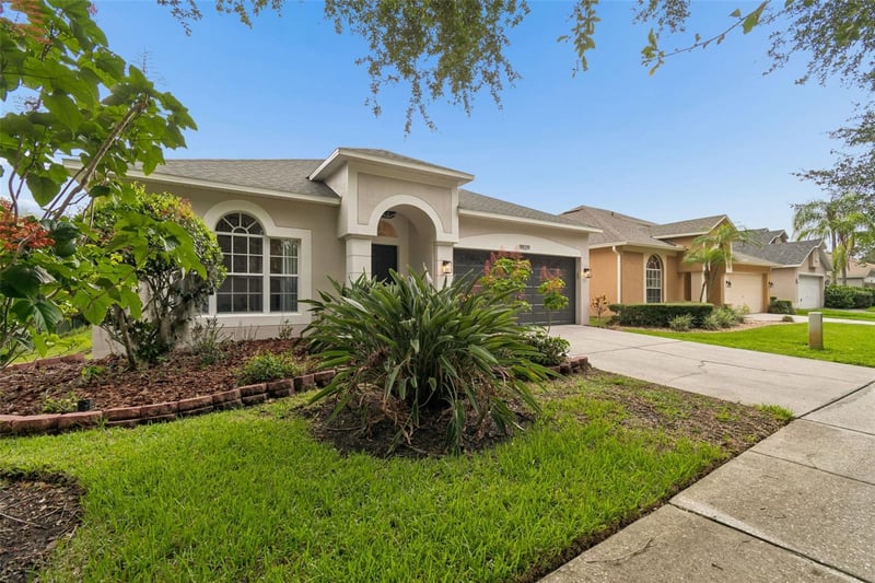 19029 Chemille Dr, Lutz, FL 33558