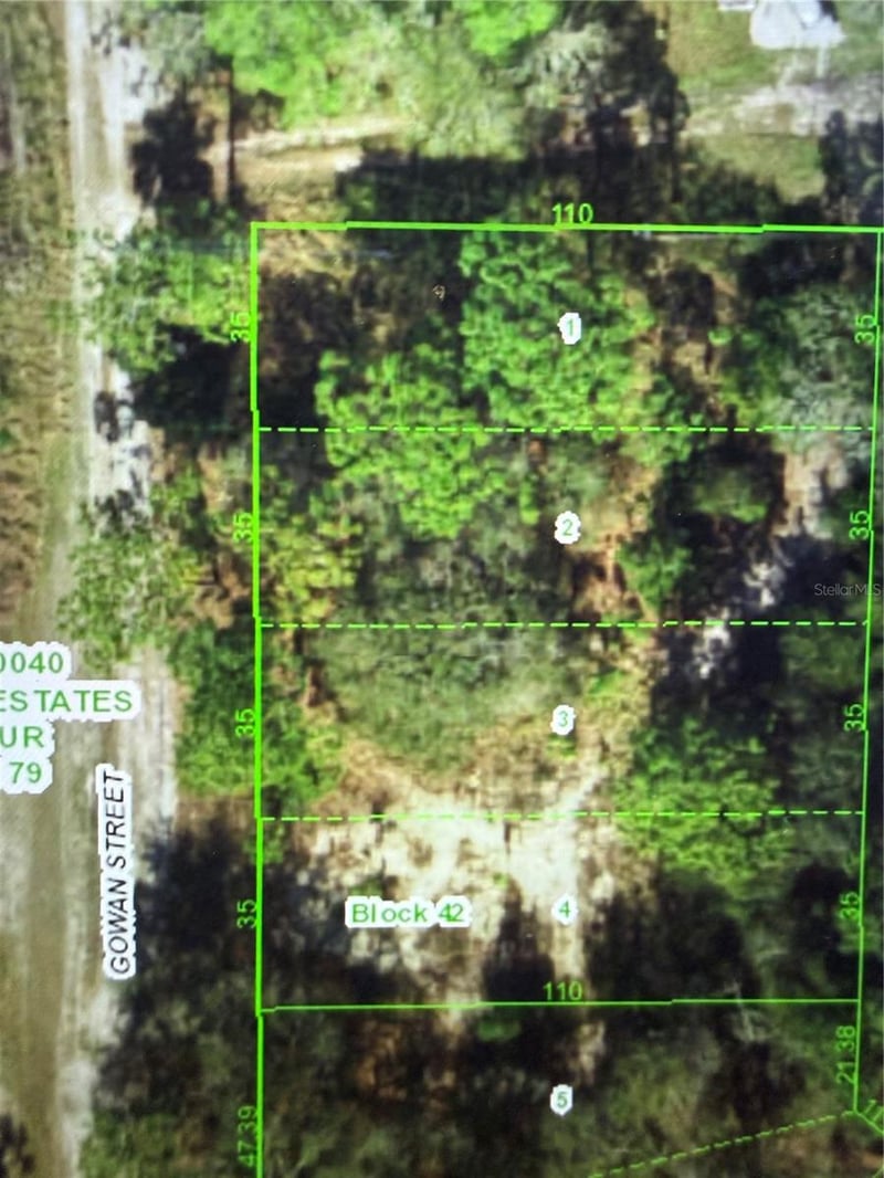 11142 Gowan St, New Port Richey, FL 34654
