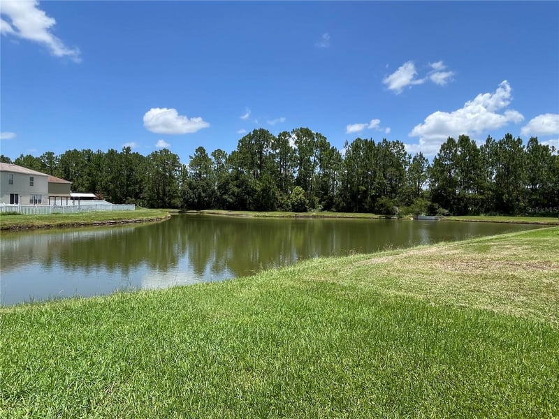 5036 Whistling Pines Ct, Wesley Chapel, FL 33545