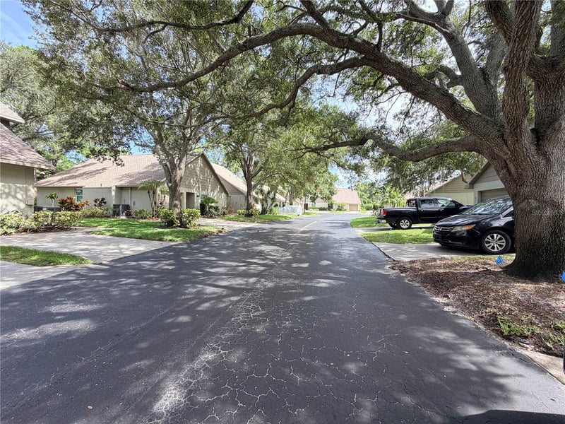 3417 Rochelle Ct, Clearwater, FL 33761