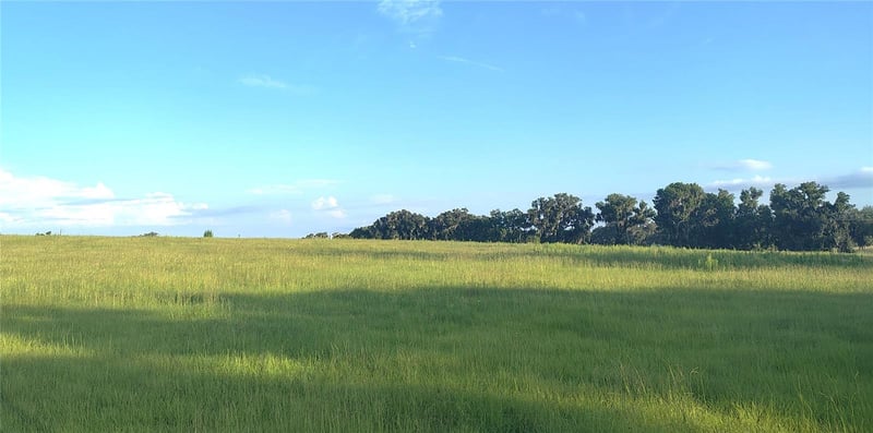 Covington Rd, Dade City, FL 33525