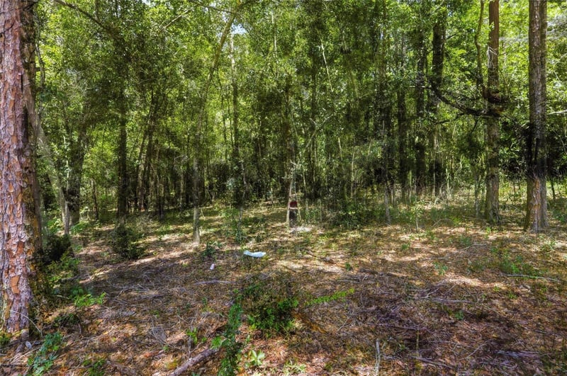 Centennail Rd, Dade City, FL 33525