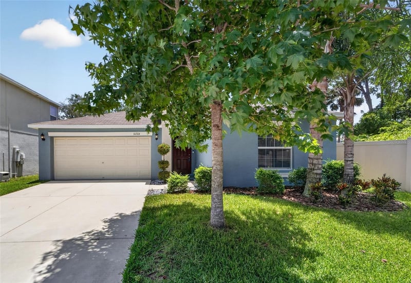 10304 Strawberry Tetra Dr, Riverview, FL 33578