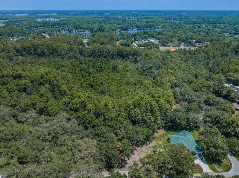 Coqui Ct, Odessa, FL 33556