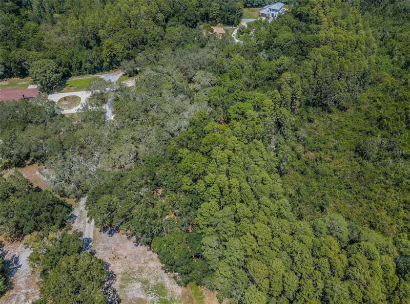 Coqui Ct, Odessa, FL 33556